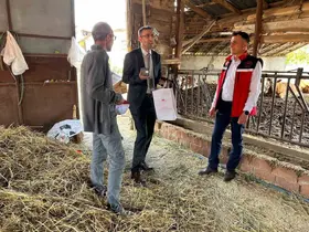 Uşak Tarım ve Orman Müdürlüğü ekipleri sahada incelemelerde bulundu
