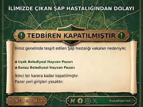 Uşak’ta hayvan pazarları şap hastalığı nedeniyle kapatıldı
