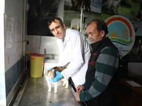 Uşak’ta kedi ve köpek sahiplerine mikroçip uyarısı
