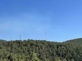 Uşak’ta meşelik alanda çıkan yangın kontrol altına alındı
