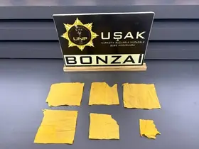 Uşak’ta uyuşturucu operasyonunda 14 şüpheli tutuklandı
