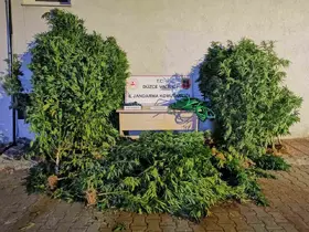 Uyuşturucudan 6 kişi tutuklandı, 44 şahıs hakkında işlem yapıldı
