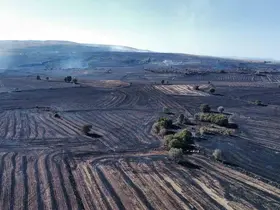 Uzmanı uyardı: "Orman yangınlarına karşı topraktaki nem kapasitesini arttırmalıyız"
