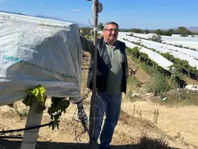 Üzüm bağını hırsızlara karşı kamera ile koruyor
