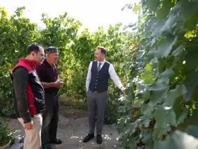Üzümlü Kaymakamı Hökelekli, üzüm bahçesi ve tarımsal erken uyarı sistemini inceledi
