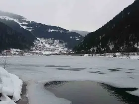 Uzungöl’de Kış Festivali başladı
