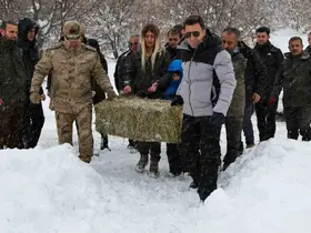 Vali Aygöl, yaban hayvanları için kolları sıvadı
