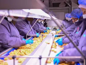 Vali Canbolat, Köşk’te gıda tesisini inceledi

