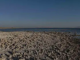 Van Gölü’nde kuraklık alarmı: Suyun çekilmesi endişe verici bir tabloya dönüştü
