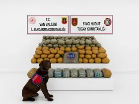 Van’da 291 kilogram toz esrar ele geçirildi
