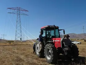 Van’da 31 kilometrelik enerji hattı tamamlandı: Çalışmalarda yabani kuşlar gözetildi

