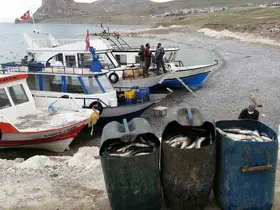 Van’da 90 günlük av yasağı başladı
