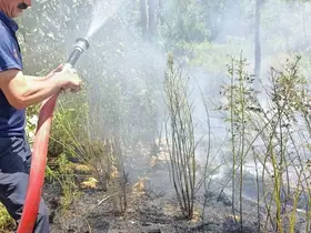 Van’da ağaçlık alanda yangın
