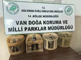 Van’da keklik avlayan şahsa 86 bin 278 lira para cezası
