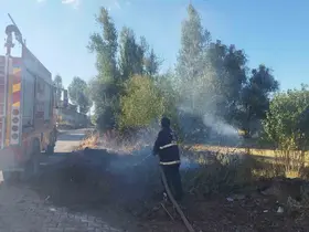 Van’da örtü yangını