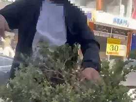 Van’da refüjdeki çiçek ve fidanlara zarar veren şahıs suçüstü yakalandı
