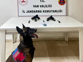Van’da ruhsatsız tabanca ele geçirildi
