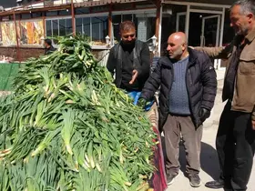 Van’da şifa kaynağı ‘çiriş otu’ tezgahlardaki yerini aldı
