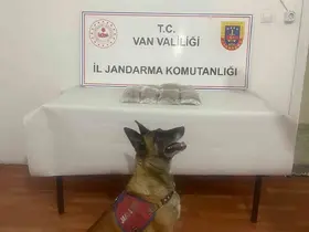 Van’da uyuşturucu madde ele geçirildi
