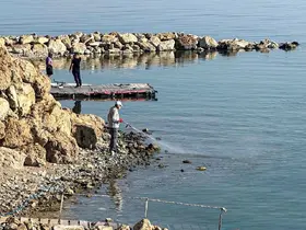 Van’da vektörle mücadele seferberliği
