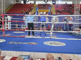 Vanlı sporcu Furkan Bilici altın madalya kazandı
