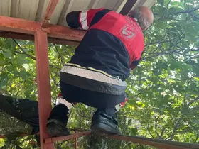 Vatandaşları tedirgin eden 1 buçuk metre yılanı itfaiye yakaladı
