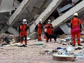 Venezuela’yı vuran depremlerde ölü sayısı 3 bin 685’e yükseldi