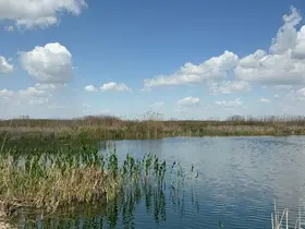 Yağışlar Eber Gölü’ne can suyu oldu, kiraz üreticisinin yüzü güldü
