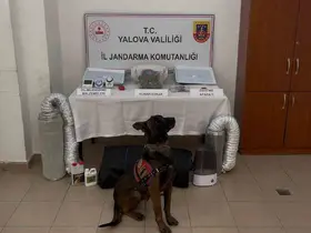 Yalova merkezli 3 ilde göçmen kaçakçılığı operasyonu: 3 tutuklama
