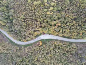 Yalova ormanlarında sonbahar güzelliği
