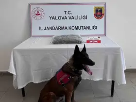 Yalova’da uyuşturucu operasyonunda 1 tutuklama
