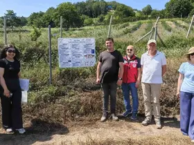 Yalova’da yaban mersininde iyi tarım uygulamaları denetleniyor
