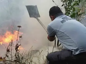 Yangını söndürmek içi devlet-millet seferber oldu
