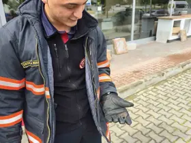 Yaralı yarasa koruma altına alındı
