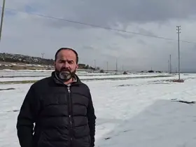 Yerleşim yerine inen kurdun rahat tavırları dikkat çekti
