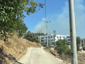 Yerleşim yerlerine yakın makilik alandaki yangın korkuttu
