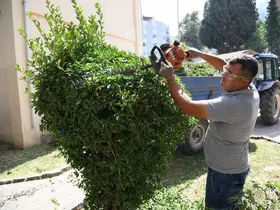 Yeşil bir Yunusemre için çalışmalar aralıksız devam ediyor
