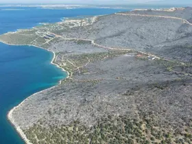Yeşille maviyi orman yangını ayırdı

