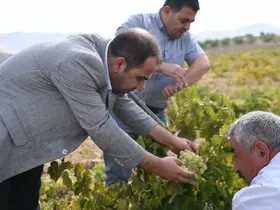 Yeşilyurt’un Değerleri" Projesinin son durağı Banazı oldu
