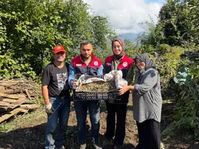 Yığılca’da salep üretimi yaygınlaşıyor
