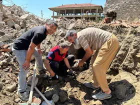 Yıkım halindeki binada mahsur kalan 8 yavru köpeği itfaiye kurtardı
