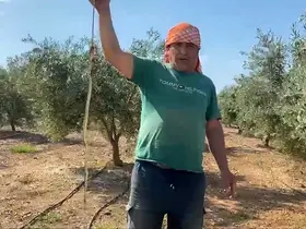 ’Yılanı öldürdüm’ deyip çektirdiği video pahalıya mal oldu: 22 bin TL ceza yedi
