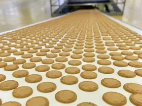 Yıldız Holding çatısı altında faaliyet gösteren Pladis, dengeli beslenmeye katkı sunan ürün hacmini 2030’a kadar iki katına çıkaracak
