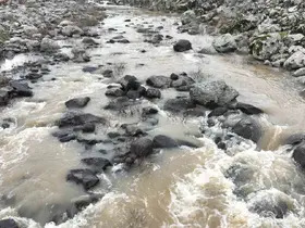 Yoğun yağışlar çiftçinin yüzünü güldürdü

