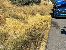 Yol kenarına atılan sigara izmariti yangına neden oldu
