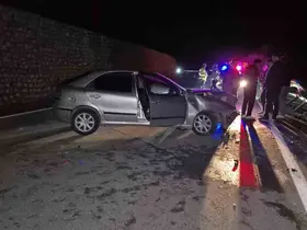 Yola çıkan yaban hayvanı kazaya neden oldu: 4 yaralı
