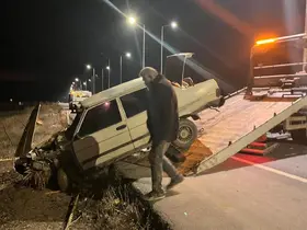 Yola fırlayan domuza çarpan otomobil sürücüsü hayatını kaybetti