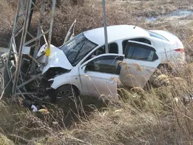 Yoldan çıkan otomobil direğe çarptı: 3 yaralı

