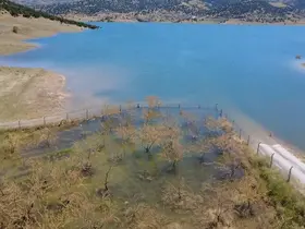 Yozgat’ta badem ağaçları sular altında kaldı
