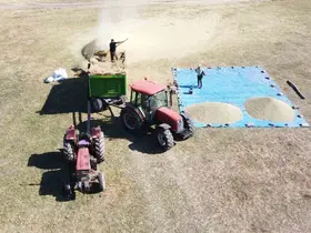 Yozgat’ta mercimek hasadının ardından patoz mesaisi başladı
